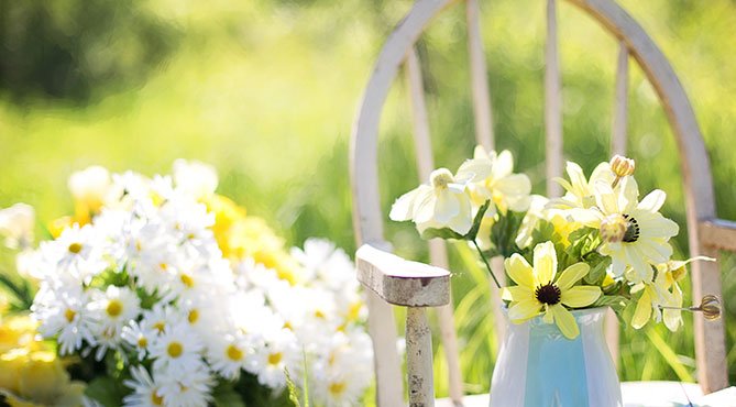 summer-still-life-daisies-yellow summer-still-life-daisies-yellow